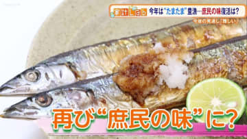 今年のサンマは“たまたま”豊漁だった…今後の漁獲量は？安定供給の切り札とは