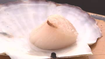 「こじつけだよ」中国政府が日本産水産物を事実上の“輸入停止” ―道産ホタテ再び影響か 水産加工業者からは嘆きの声―2023年の輸入停止では450億円分のホタテが行き場を失うも今回は？＜北海道＞