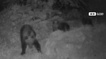 【不安】札幌市中心部でクマ目撃　繁華街「ススキノ」周辺でも…住宅街で“クマの足跡”　公園は全面閉鎖・見回りに猟友会も