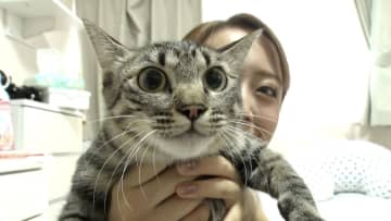 みりちゃむと保護猫・うみママ一家が迎えた譲渡会前最後の夜…近づく別れに「寂しいんだけど…」と漏れる本音