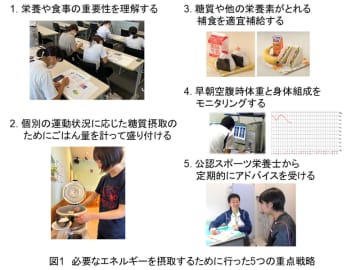 女性アスリートの栄養戦略