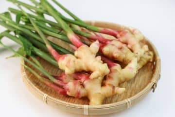 生姜の効果、使い方でここまで違う！生・加熱・パウダー知らなきゃ損な正しい使い分け