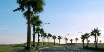 【2025年11月12月】浦安市イベント情報はこちらから!