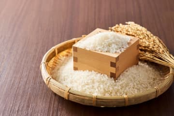 おこめ券はありがたいけれど…“現金給付や減税の方が助かる”という声も。本当に「おこめ券」は家計の助けになるの？