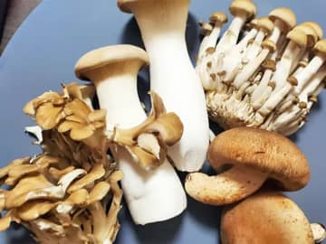 食べた夫が「弁当にも入れて！」と大絶賛　キノコと一緒に炒めたのは…【最強おかず】