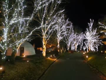 栃木・日光のグランピングリゾートで約4万球のLEDによる「イルミネーションナイト2025」