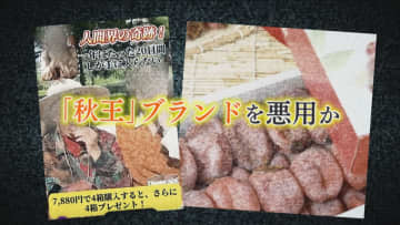 「福岡県産は嘘です！」ブランド柿『秋王』 SNSのニセ広告で被害広がる 発送先は『中国・河北省』も【福岡発】