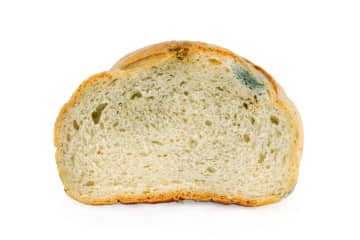 カビが生えたパンは食べても大丈夫？小さな点でも避けたい理由を解説