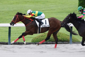 【兵庫ジュニアグランプリ】エコロレーヴは5枠5番