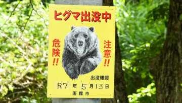 「イメージ的には助からない…」『ヒグマ』と出会って感じた、命を少しでも守るための行動と対策とは？ 防御態勢の有効性についても考察。