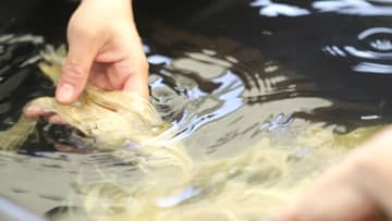 【TOKYOの秘境がアートに染まる】紅葉の渓谷が舞台！落合陽一、シシヤマザキらが集結する「山の芸術祭」が熱い！