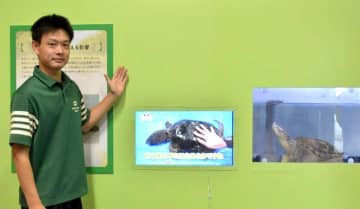 茨城県内定着外来種30種　持ち込み経緯を紹介　県大洗水族館で特別企画