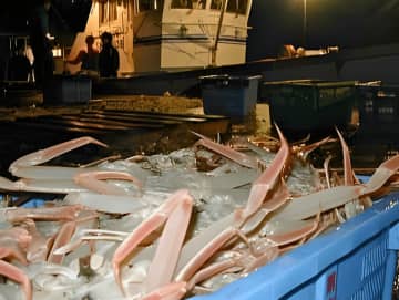 島根県・隠岐諸島「松葉ガニ漁」今年も解禁！11月26日初売り“伝統の篭漁が支える、冬の至宝の鮮度と美しさ”　― 日本海屈指の好漁場から届く“鮮度と美しさが別格”の冬の味覚 ―