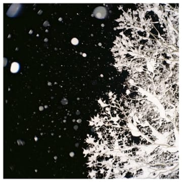 yuzen、シングル「雪の花」をリリース