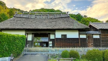 【静岡1泊2日モデルコース】東海道を“体験で味わう”！お茶染め・鰹節削り・温泉・緑茶診断……