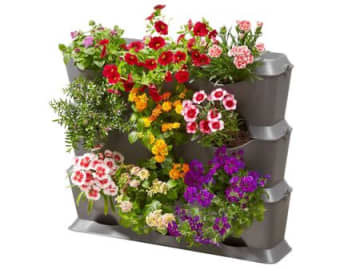 【50代・60代】お部屋や玄関に季節の彩りを〈旬の花苗とプランター〉をAmazonブラックフライデーセールでお安くゲット！