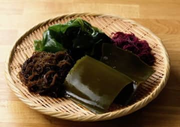 身体に良いだけじゃない。日本の伝統食「海藻」が世界から熱視線を浴びるワケ