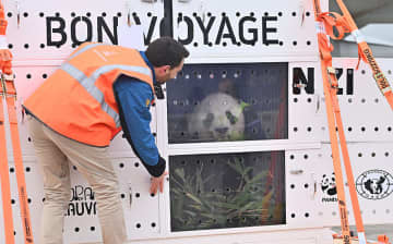 フランスに貸与されたパンダ2頭が中国に帰国