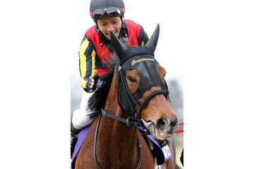 競馬界に突然の悲報「嘘だと言って」「早すぎるよ」　JCウィークに溢れる追悼…3冠牝馬死す