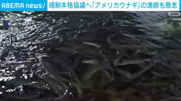 「商売あがったりだ」ウナギ取引規制案、27日採決へ 米漁師ら懸念