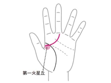 才覚を活かして大成功を収めて大金を手にする可能性を秘める線とは！？【手相の教科書】