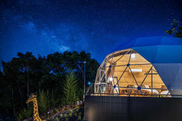 豪華4大特典！淡路島グランピング「Glamping Resort Awaji」が最大セール開催！愛犬OK、食べ飲み放題、4名以上で1名無料の超お得プランが登場！