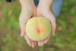 「彼女はどうして岡山に？」…気になりません？実際に岡山に移住した女性の皆さんの「リアルな暮らしの声」が聞けるトークセッションを開催します。