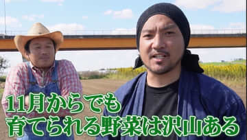 【11月でも間に合う！】初心者でも育てられる“冬に強い野菜”3選｜農業YouTuberが解説