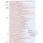 接触確認アプリCOCOAは終了すべきだったのか　北見工業大学と芝浦工業大学が世界のアプリを網羅調査