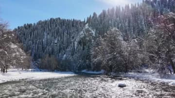 雪をまとった薩哈風景区、冬の秘境が観光客に人気　中国新疆・新源県