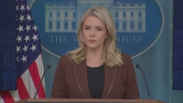 ホワイトハウス・レビット報道官の親族　移民税関捜査局が拘束