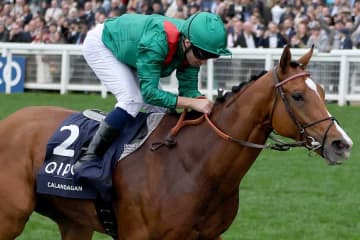 日本の競馬ファン喝采「ディープ出てきた」「かっけぇ」　JCウィークに英メディアが粋な計らい