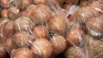 玉ねぎは68％平年より高く…夏の猛暑で生育不足　葉物野菜の価格は落ち着きキャベツは9％安