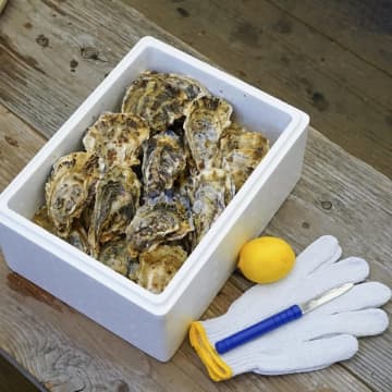 【ふるさと納税おすすめ】産直の岩ガキにレモンを絞って大満足！長崎県佐世保市「九十九島 殻付きかき 特選」（30代・女性）