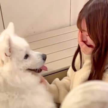 離れ離れになった大型犬と2ヶ月ぶりに再会した女性→嬉しくて泣いてしまった結果…まさかの光景が151万再生「泣かないでって…」「イケメン」