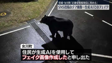 “クマ目撃”注意喚起の画像は生成AIフェイク　宮城・女川町