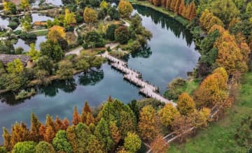 中国共産党4中全会　用語解説（15）　生態環境のゾーニング管理