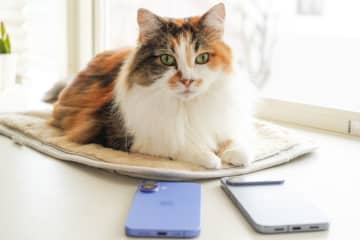 iPhoneとAndroid間の「AirDrop」がついに実現！ やり方を徹底解説