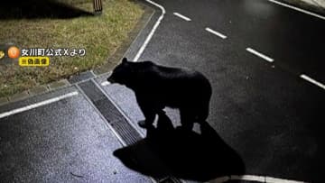 “目撃クマ画像”は生成AIフェイク　宮城・女川町がX投稿も作成者から連絡　保育所近くの目撃情報も「虚偽」