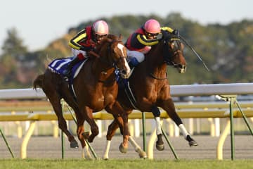 【思い出に残るジャパンC】ジェンティルドンナvsオルフェーヴル 三冠馬の直接対決 意地と意地のぶつかり合いにファン大熱狂