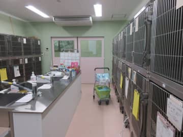 「動物愛護の次の時代を」名古屋市が市をあげて取り組む目標