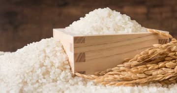 石破さん頼む、黙ってくれ！「おこめ券配布の原資は？」前総理の異議に経済誌元編集長が激怒…全部あなたの尻拭い！国民と日本農業の重荷