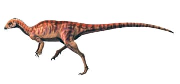 中国・貴州省で前期ジュラ紀の重要な恐竜足跡群を発見