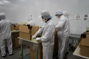 「幸せな人生を歩み続けることを目指す」　チャレンジ機会やチャンスは公平に　日総工産の特例子会社「日総ぴゅあ」の取り組み