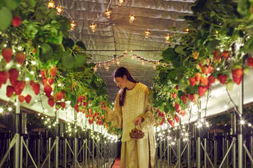 リゾナーレ熱海、1日1組限定でイチゴハウスを貸し切る滞在プラン「ナイトストロベリーツアー」