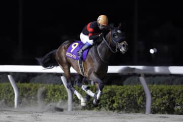 【浦和記念】岩田康成「久しぶりの浦和競馬楽しみました」レース後ジョッキーコメント