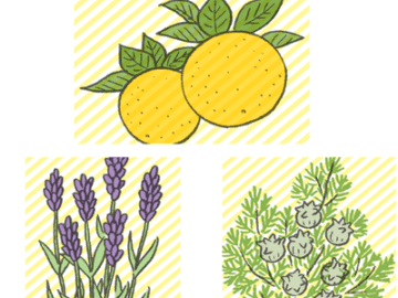 香りで血圧ケア！専門家おすすめのアロマ6選【薬なし減塩なし！１日１分で血圧は下がる】