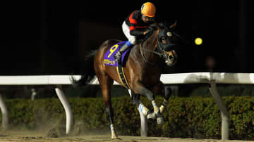 【浦和記念回顧】ホウオウルーレットが重賞連勝　岩田康誠騎手の“イン突き”が鮮やかに決まる