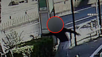 逃走の37歳男は2人死亡事故後に盗難車のカギ植え込みに投げ捨て…ひき逃げに巻き込まれた男性「免許取得止めた」　東京・足立区