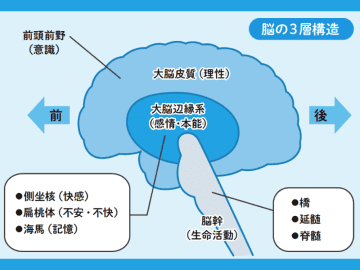 ”メンタル”とは何か？ 脳の3層構造から紐解く心のメカニズム【眠れなくなるほど面白い 図解 メンタルの話】